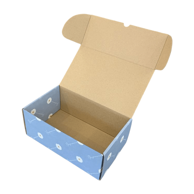 Cajas de Correo de Colores Personalizadas Cajas de Envío de Cajas de Embalaje de Ropa Duradera